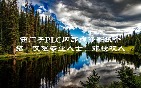 西门子PLC内部维修图纸介绍（仅限专业人士，非授权人员勿入）