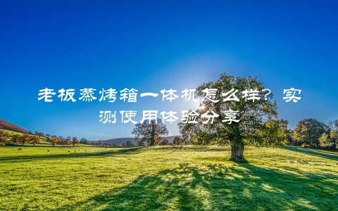 老板蒸烤箱一体机怎么样？实测使用体验分享
