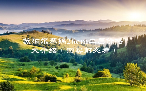 苏泊尔蒸锅26cm二层价格大介绍（购买前必看）