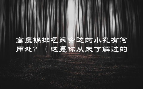高压锅排气阀旁边的小孔有何用处？（这是你从未了解过的秘密）