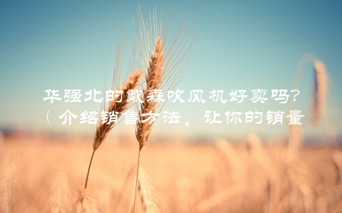 华强北的戴森吹风机好卖吗？（介绍销售方法，让你的销量翻倍）