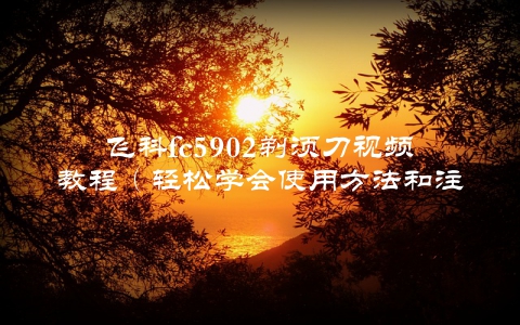 飞科fc5902剃须刀视频教程（轻松学会使用方法和注意事项）