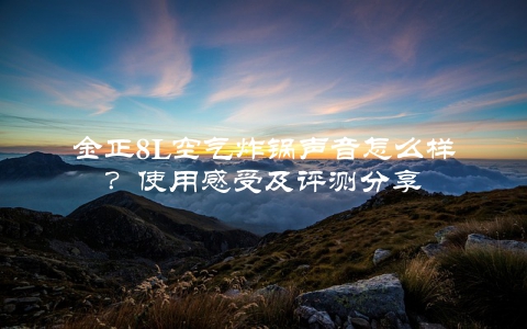 金正8L空气炸锅声音怎么样？使用感受及评测分享