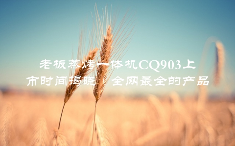 老板蒸烤一体机CQ903上市时间揭晓（全网最全的产品分析与评测）
