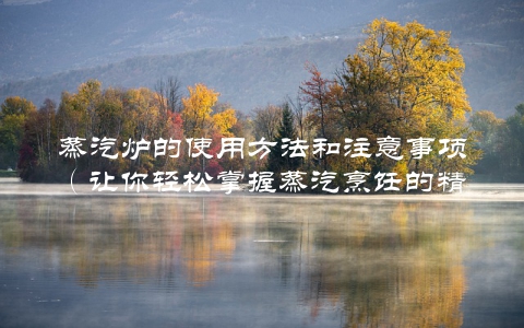 蒸汽炉的使用方法和注意事项（让你轻松掌握蒸汽烹饪的精髓）