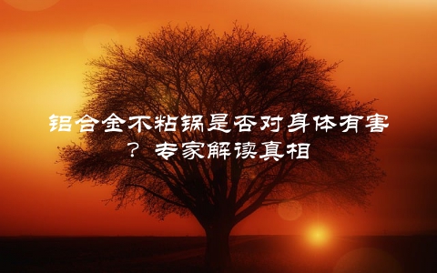 铝合金不粘锅是否对身体有害？专家解读真相