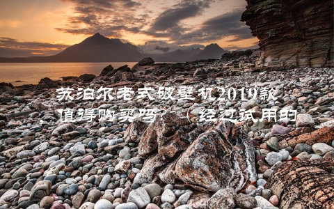 苏泊尔老式破壁机2019款，值得购买吗？（经过试用的真实评测）