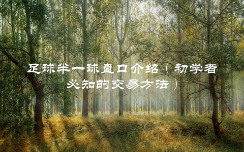 足球半一球盘口介绍（初学者必知的交易方法）