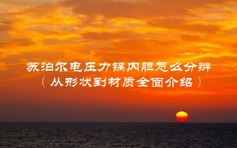 苏泊尔电压力锅内胆怎么分辨（从形状到材质全面介绍）