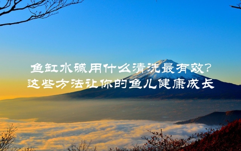 鱼缸水碱用什么清洗最有效？这些方法让你的鱼儿健康成长