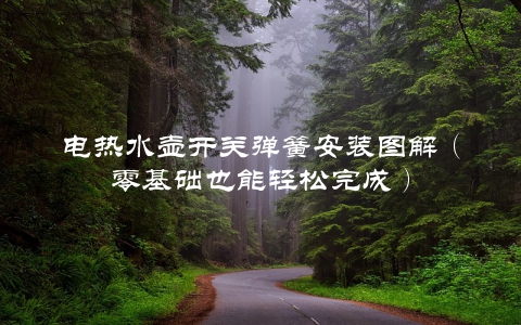 电热水壶开关弹簧安装图解（零基础也能轻松完成）
