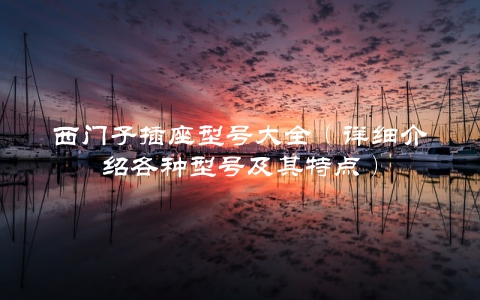 西门子插座型号大全（详细介绍各种型号及其特点）