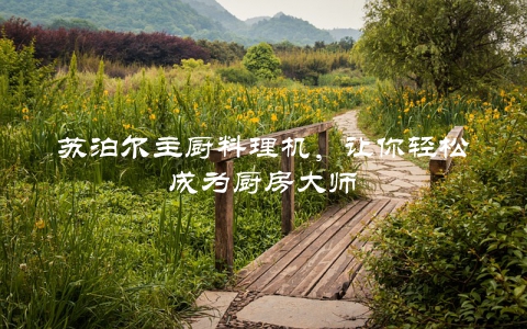 苏泊尔主厨料理机，让你轻松成为厨房大师