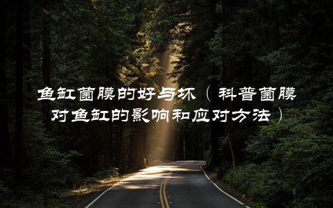 鱼缸菌膜的好与坏（科普菌膜对鱼缸的影响和应对方法）