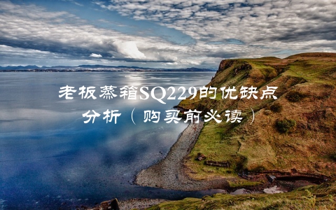 老板蒸箱SQ229的优缺点分析（购买前必读）