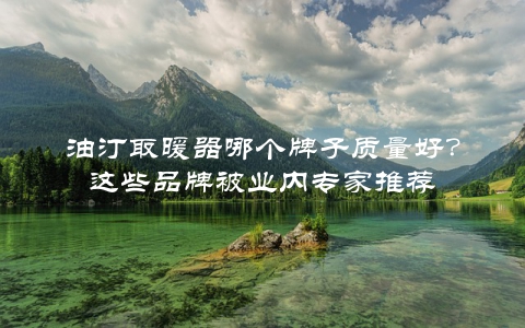 油汀取暖器哪个牌子质量好？这些品牌被业内专家推荐
