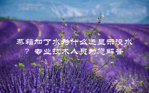 蒸箱加了水为什么还显示没水？专业技术人员为您解答