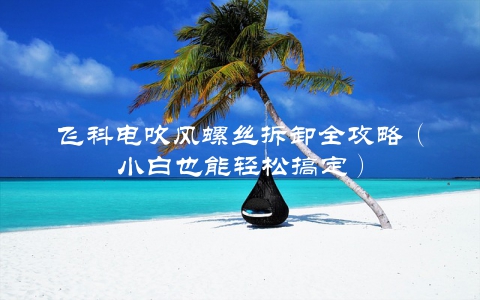 飞科电吹风螺丝拆卸全攻略（小白也能轻松搞定）