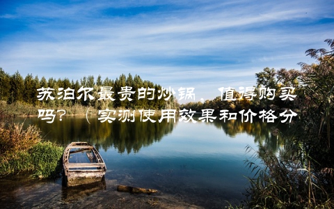 苏泊尔最贵的炒锅，值得购买吗？（实测使用效果和价格分析）