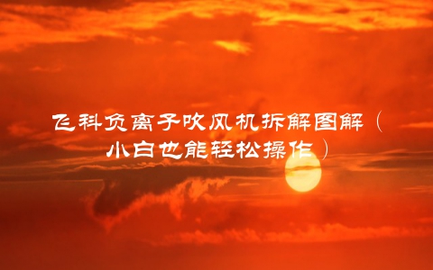 飞科负离子吹风机拆解图解（小白也能轻松操作）