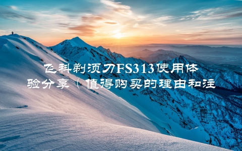 飞科剃须刀FS313使用体验分享（值得购买的理由和注意事项）