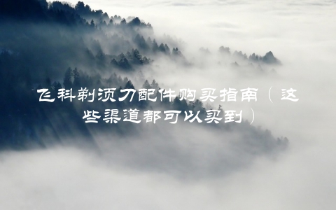 飞科剃须刀配件购买指南（这些渠道都可以买到）