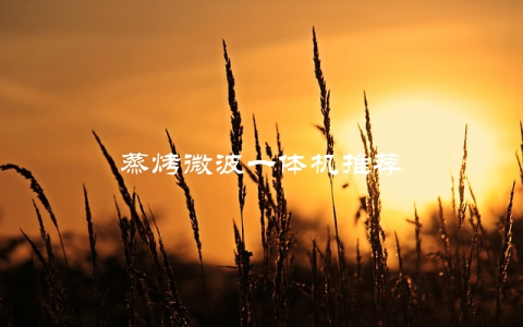 蒸烤微波一体机推荐
