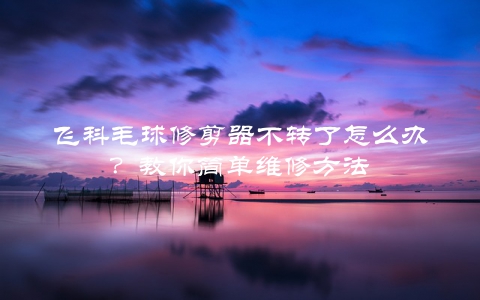 飞科毛球修剪器不转了怎么办？教你简单维修方法