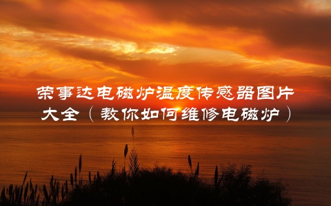 荣事达电磁炉温度传感器图片大全（教你如何维修电磁炉）