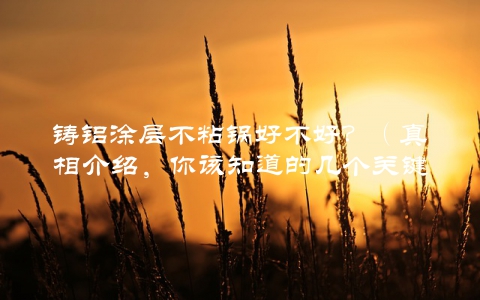 铸铝涂层不粘锅好不好？（真相介绍，你该知道的几个关键点）