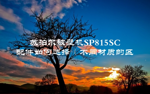苏泊尔破壁机SP815SC配件如何选择（不同材质的区别与使用方法）