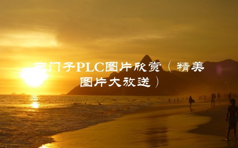 西门子PLC图片欣赏（精美图片大放送）