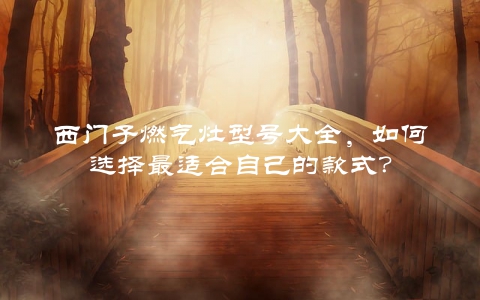 西门子燃气灶型号大全，如何选择最适合自己的款式？