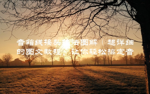 音箱线接头接法图解（超详细的图文教程，让你轻松搞定音箱线接头）