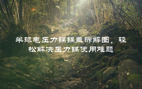 半球电压力锅锅盖拆解图，轻松解决压力锅使用难题