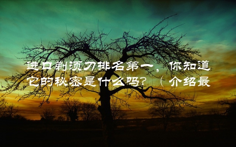 进口剃须刀排名第一，你知道它的秘密是什么吗？（介绍最畅销剃须刀的成功之