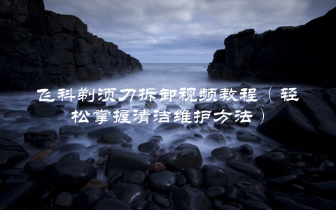 飞科剃须刀拆卸视频教程（轻松掌握清洁维护方法）