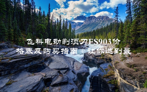 飞科电动剃须刀FS903价格表及购买指南（让你选到最优惠的价格）