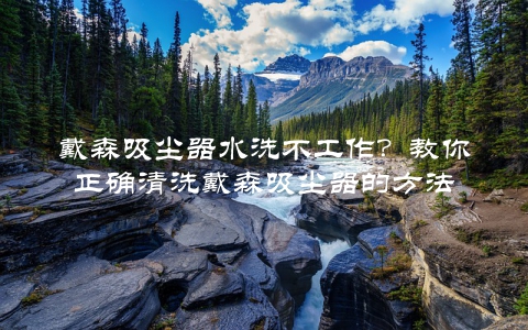 戴森吸尘器水洗不工作？教你正确清洗戴森吸尘器的方法