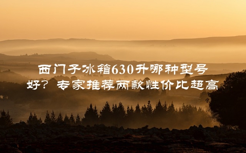 西门子冰箱630升哪种型号好？专家推荐两款性价比超高的冰箱