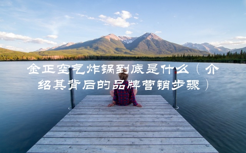 金正空气炸锅到底是什么（介绍其背后的品牌营销步骤）
