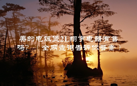美的电饭煲2L翔宇电器有售吗？（全网查询告诉你答案）