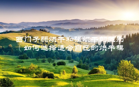 西门子弱烘干和强烘干的区别（如何选择适合自己的烘干模式）