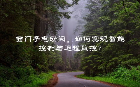 西门子电动阀，如何实现智能控制与远程监控？