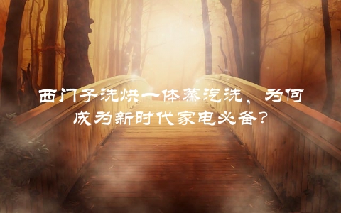 西门子洗烘一体蒸汽洗，为何成为新时代家电必备？