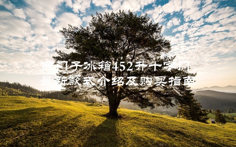 西门子冰箱452升十字门，最新款式介绍及购买指南