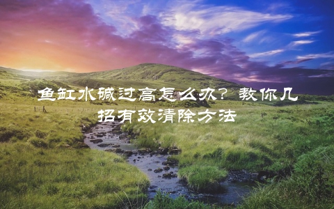 鱼缸水碱过高怎么办？教你几招有效清除方法