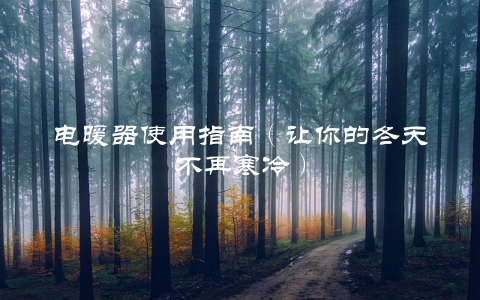 电暖器使用指南（让你的冬天不再寒冷）