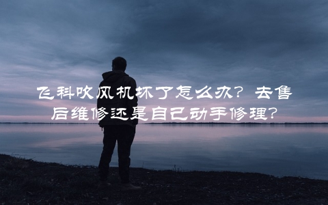 飞科吹风机坏了怎么办？去售后维修还是自己动手修理？