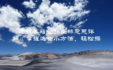 老板蒸箱S226图标意思详解（掌握这些小方法，轻松操作蒸箱）